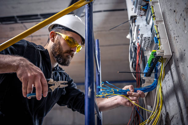 Best Industrial Electrical Services  in Cayuga, IN