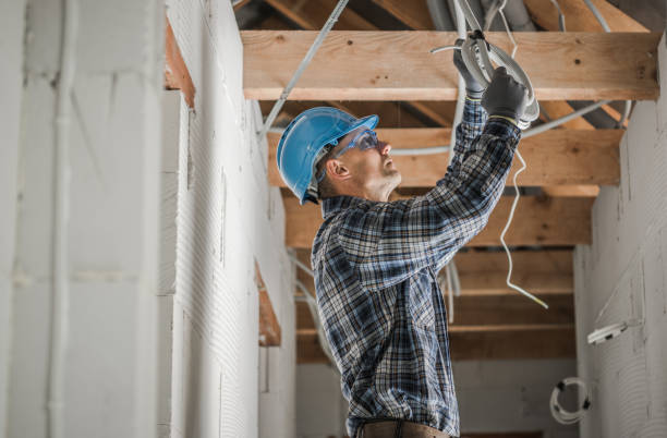 Best Electrical System Inspection  in Cayuga, IN